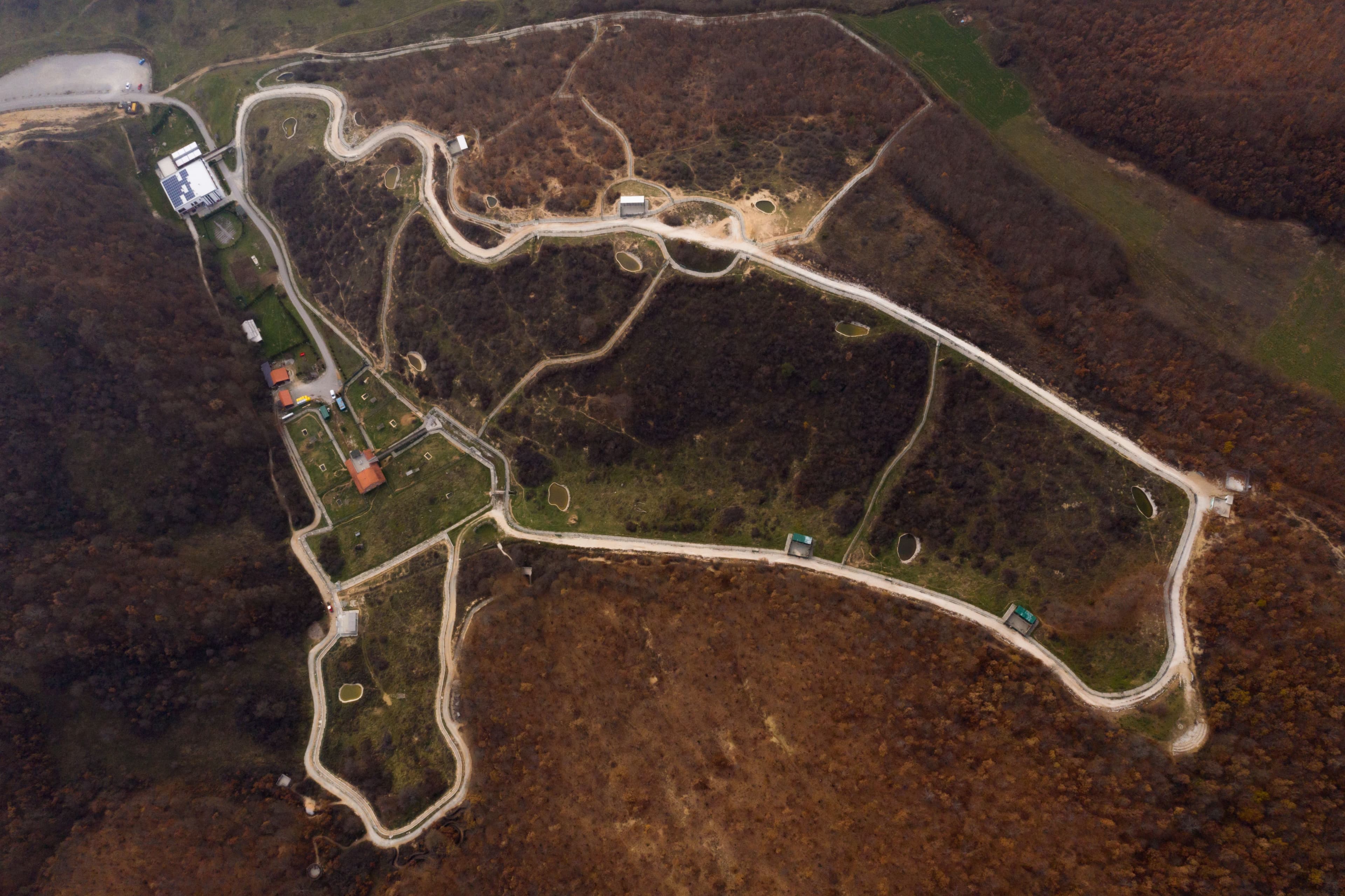 Bear Sanctuary Prishtina 4